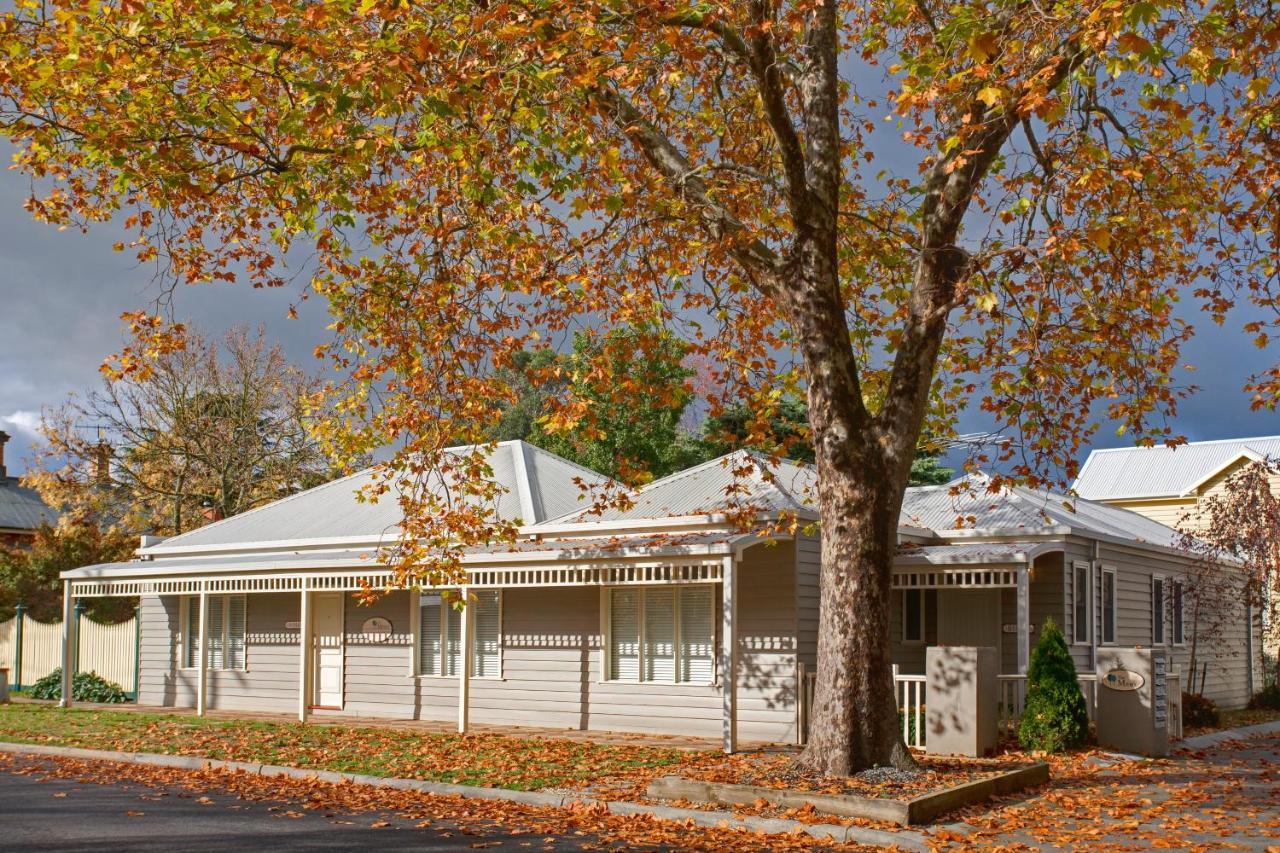 Mews Cottages Gisborne Exteriör bild